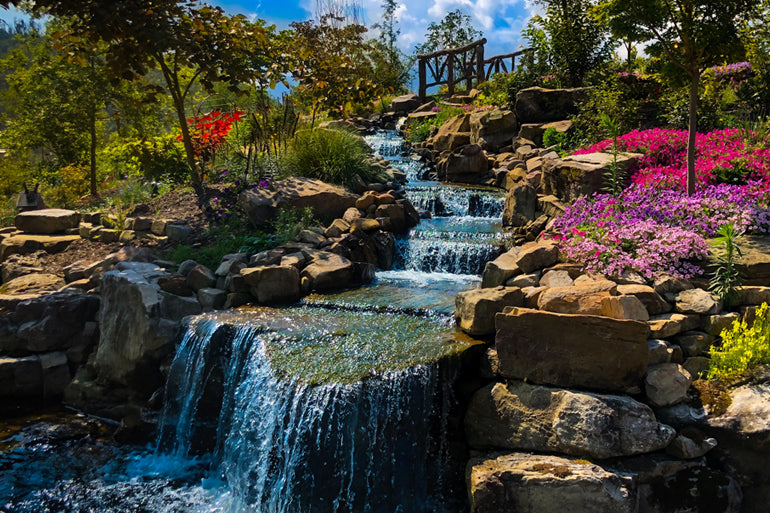 Backyard with Waterfall